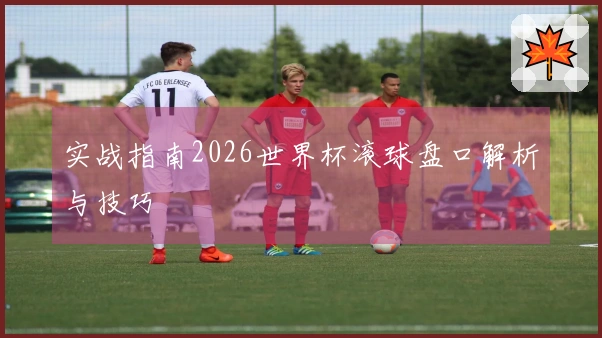 实战指南2026世界杯滚球盘口解析与技巧