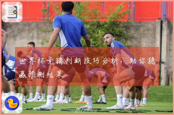 世界杯竞猜判断技巧分析，助你稳赢预测结果