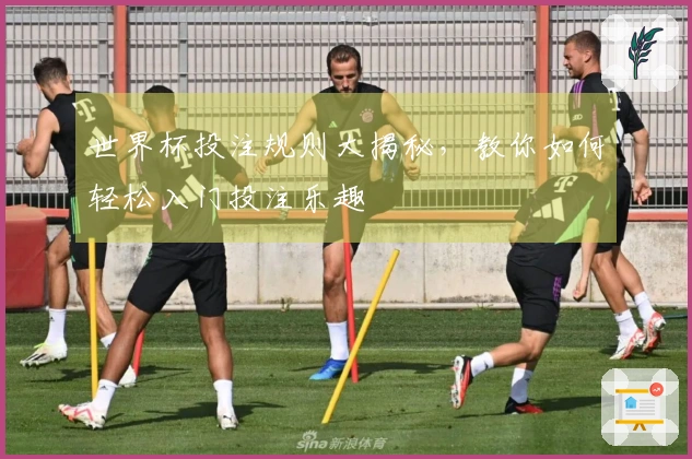 世界杯投注规则大揭秘，教你如何轻松入门投注乐趣