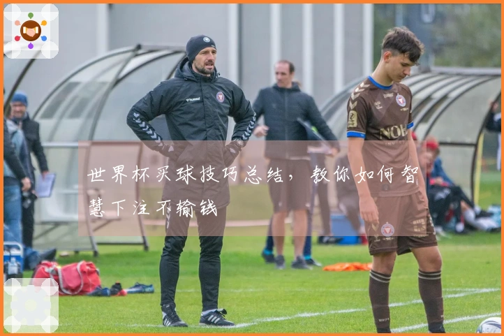 世界杯买球技巧总结，教你如何智慧下注不输钱